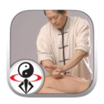 Logo of Qigong Massage Partner android Application 