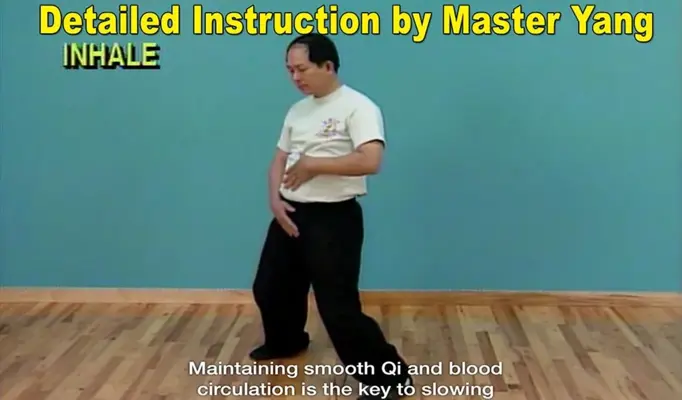 Qigong Massage Partner android App screenshot 11